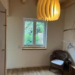 Ulme In Naunhof Leipziger Neuseenland