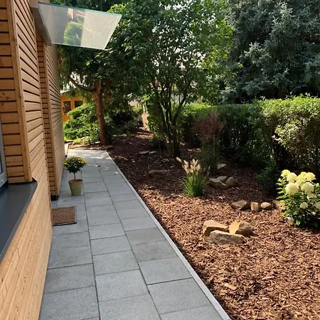 Ulme In Naunhof Leipziger Neuseenland * Kohra