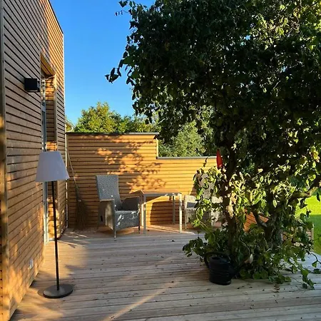 Ulme In Naunhof Leipziger Neuseenland