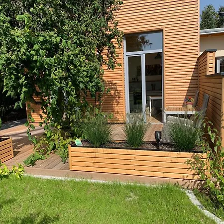 Ulme In Naunhof Leipziger Neuseenland *