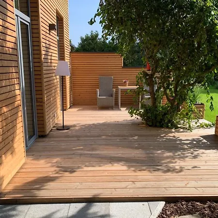 Ulme In Naunhof Leipziger Neuseenland