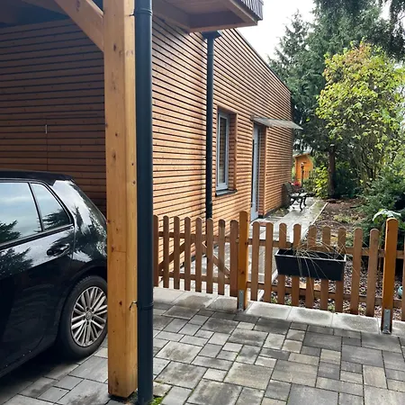 Ulme In Naunhof Leipziger Neuseenland Kohra