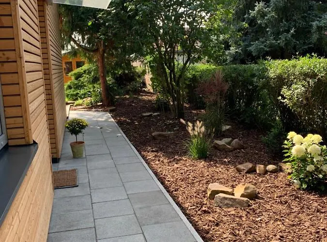 Ulme In Naunhof Leipziger Neuseenland * Kohra