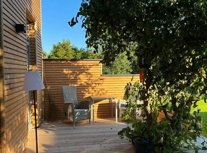 Ulme In Naunhof Leipziger Neuseenland