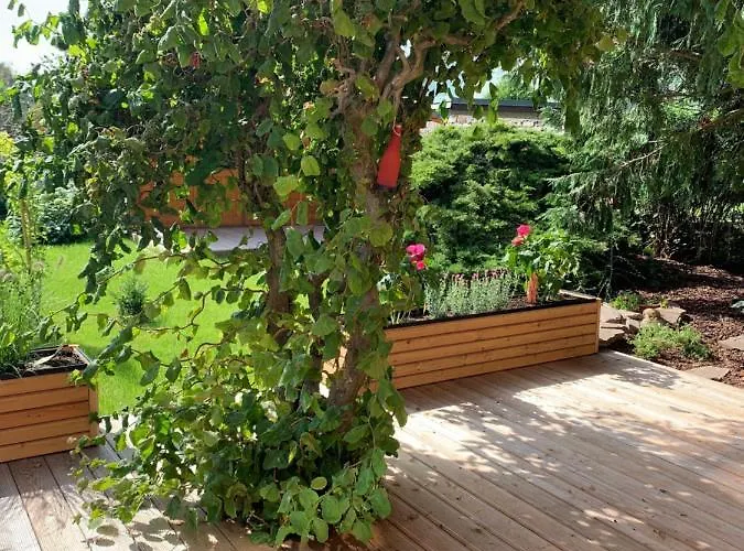 Ulme In Naunhof Leipziger Neuseenland Apartment Kohra