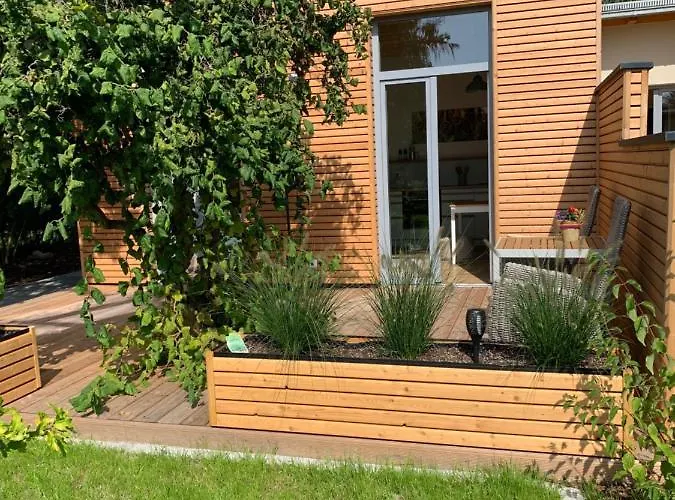 Ulme In Naunhof Leipziger Neuseenland *