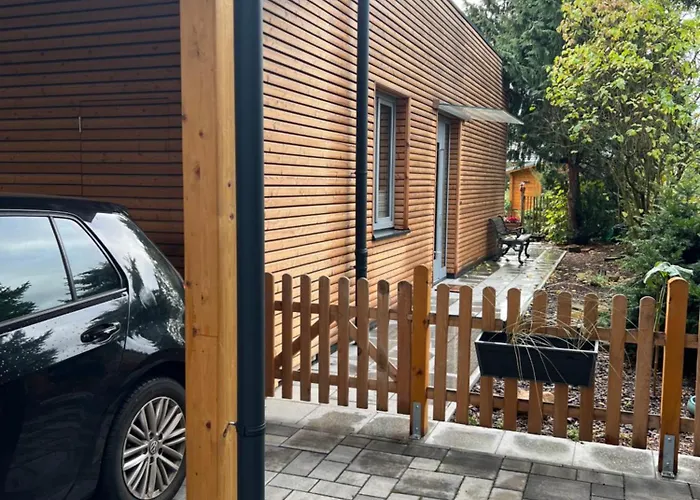 Ulme In Naunhof Leipziger Neuseenland Kohra