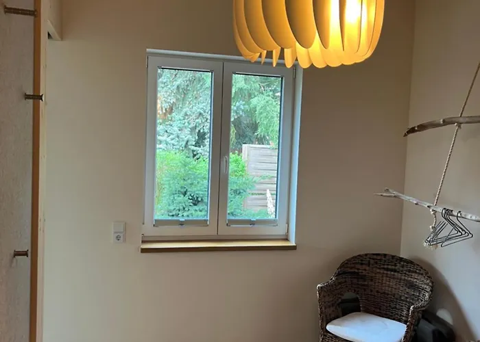 Ulme In Naunhof Leipziger Neuseenland